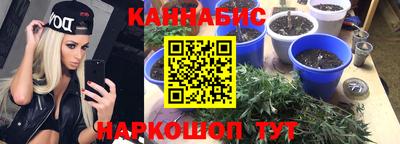 индика Бузулук