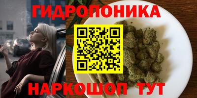 индика Бузулук