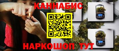 индика Бузулук