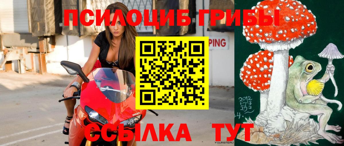 Галлюциногенные грибы Psilocybe  Вход с VPN  продажа наркотиков  Топки 